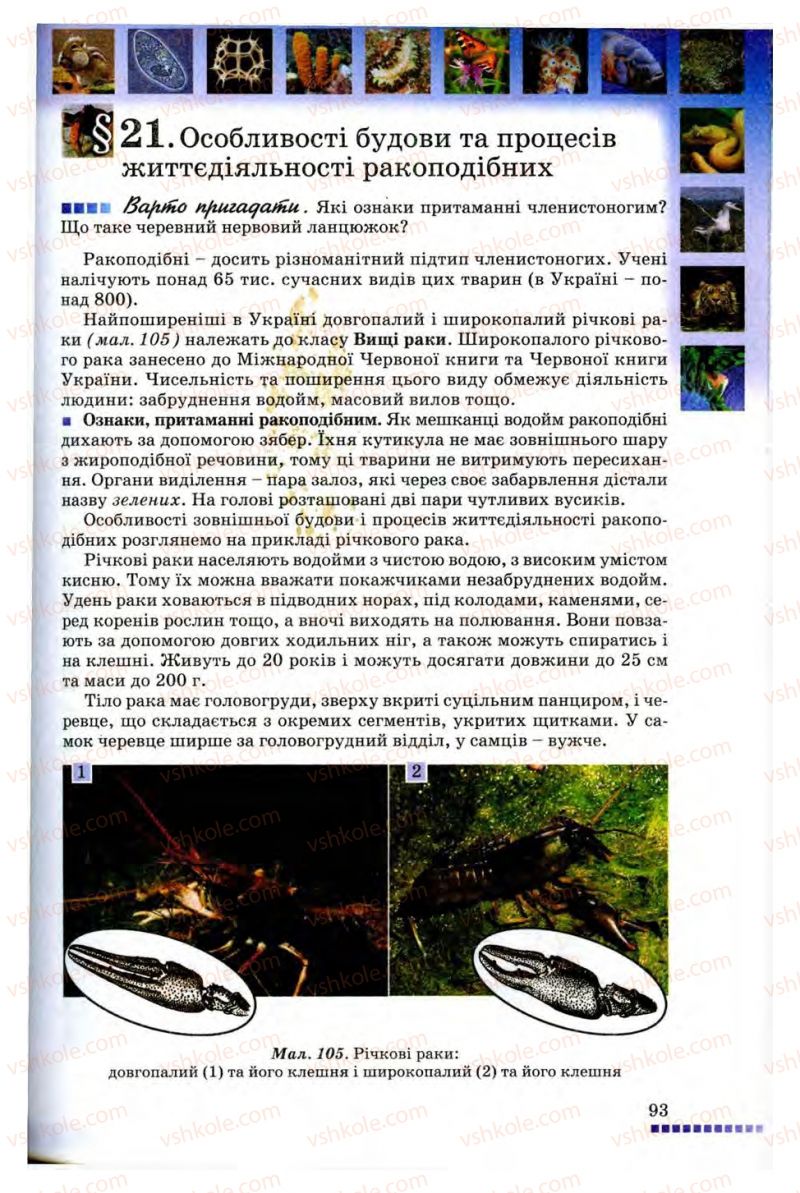 Страница 93 | Підручник Біологія 8 клас В.В. Серебряков, П.Г. Балан 2008
