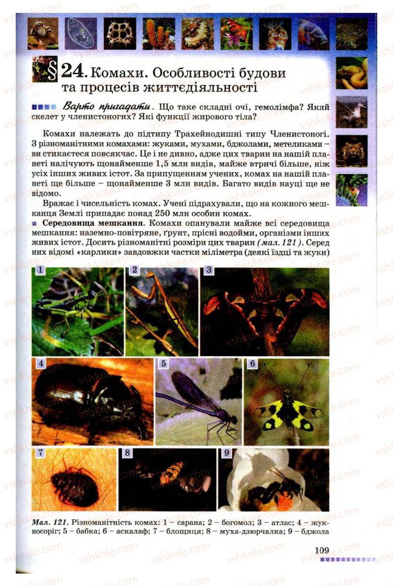 Страница 109 | Підручник Біологія 8 клас В.В. Серебряков, П.Г. Балан 2008