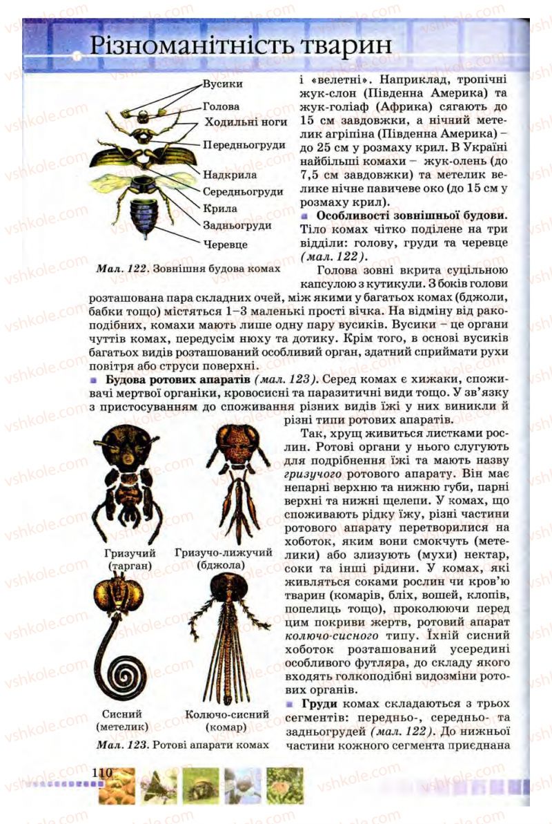 Страница 110 | Підручник Біологія 8 клас В.В. Серебряков, П.Г. Балан 2008