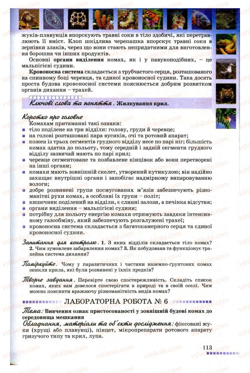 Страница 113 | Підручник Біологія 8 клас В.В. Серебряков, П.Г. Балан 2008