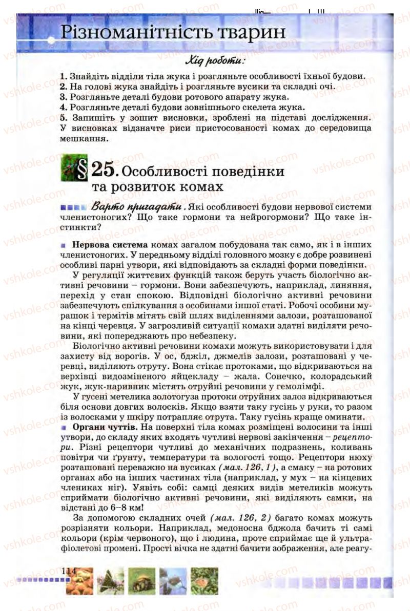 Страница 114 | Підручник Біологія 8 клас В.В. Серебряков, П.Г. Балан 2008