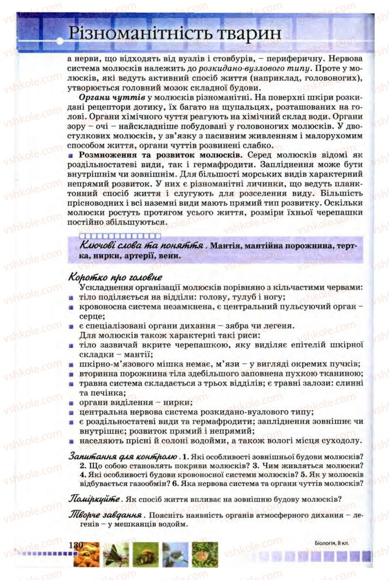 Страница 130 | Підручник Біологія 8 клас В.В. Серебряков, П.Г. Балан 2008