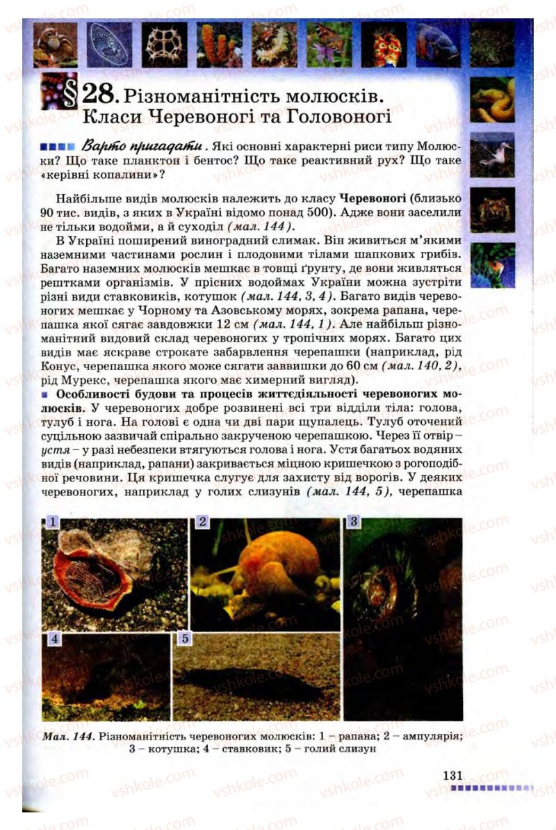 Страница 131 | Підручник Біологія 8 клас В.В. Серебряков, П.Г. Балан 2008