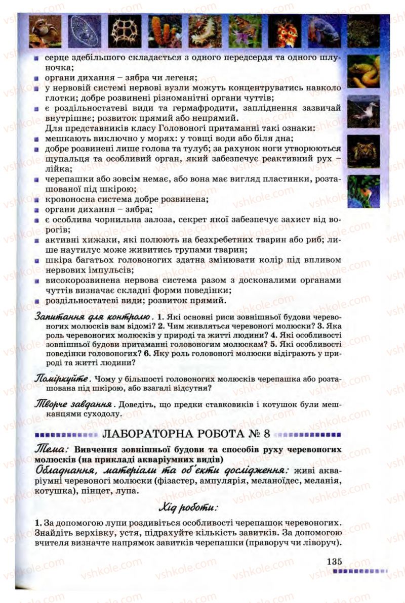 Страница 135 | Підручник Біологія 8 клас В.В. Серебряков, П.Г. Балан 2008