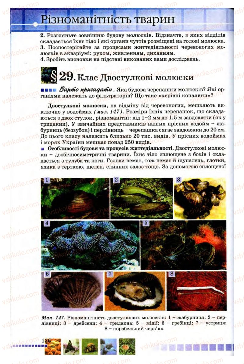 Страница 136 | Підручник Біологія 8 клас В.В. Серебряков, П.Г. Балан 2008