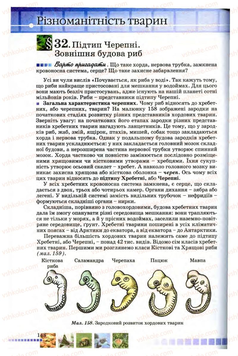 Страница 148 | Підручник Біологія 8 клас В.В. Серебряков, П.Г. Балан 2008