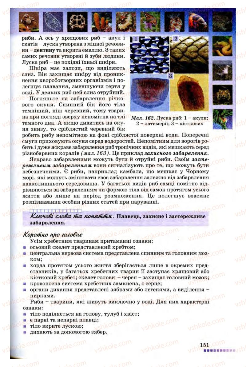 Страница 151 | Підручник Біологія 8 клас В.В. Серебряков, П.Г. Балан 2008