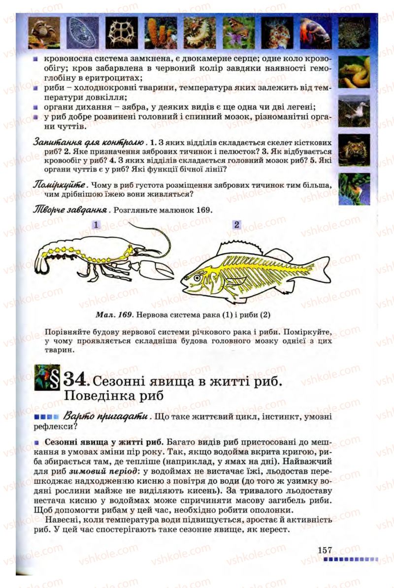 Страница 157 | Підручник Біологія 8 клас В.В. Серебряков, П.Г. Балан 2008