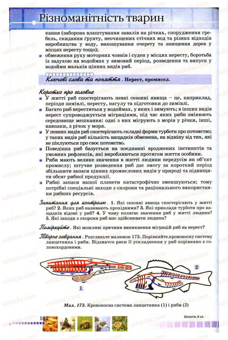 Страница 162 | Підручник Біологія 8 клас В.В. Серебряков, П.Г. Балан 2008