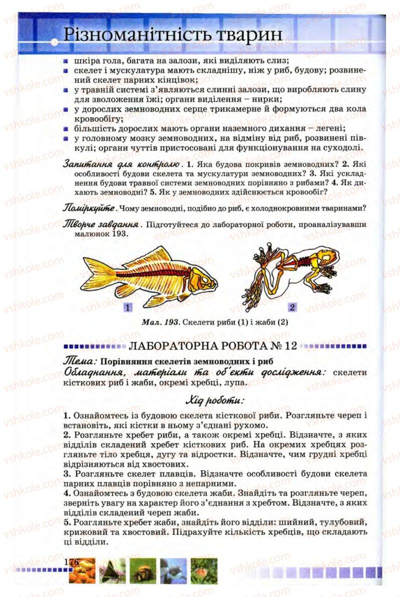 Страница 176 | Підручник Біологія 8 клас В.В. Серебряков, П.Г. Балан 2008