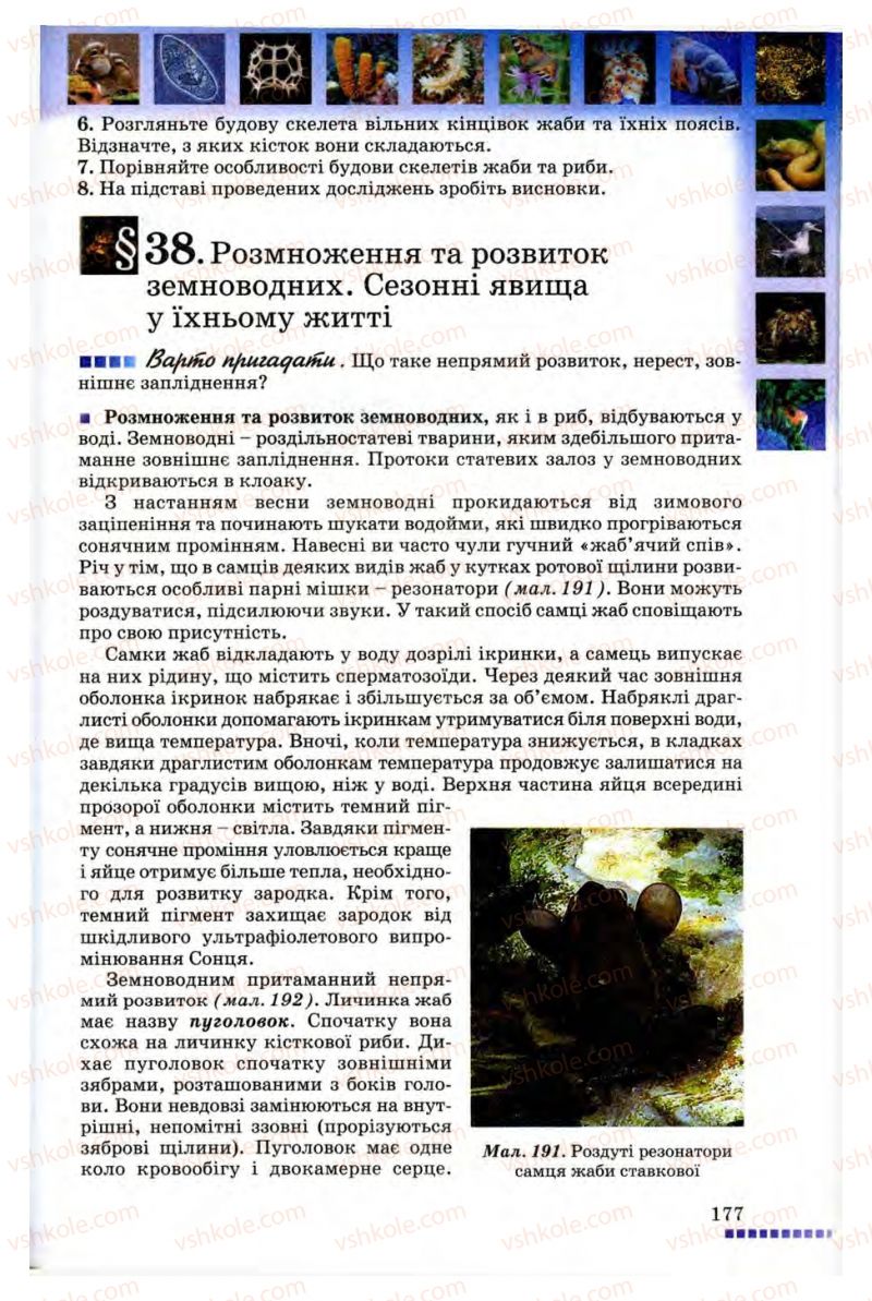 Страница 177 | Підручник Біологія 8 клас В.В. Серебряков, П.Г. Балан 2008