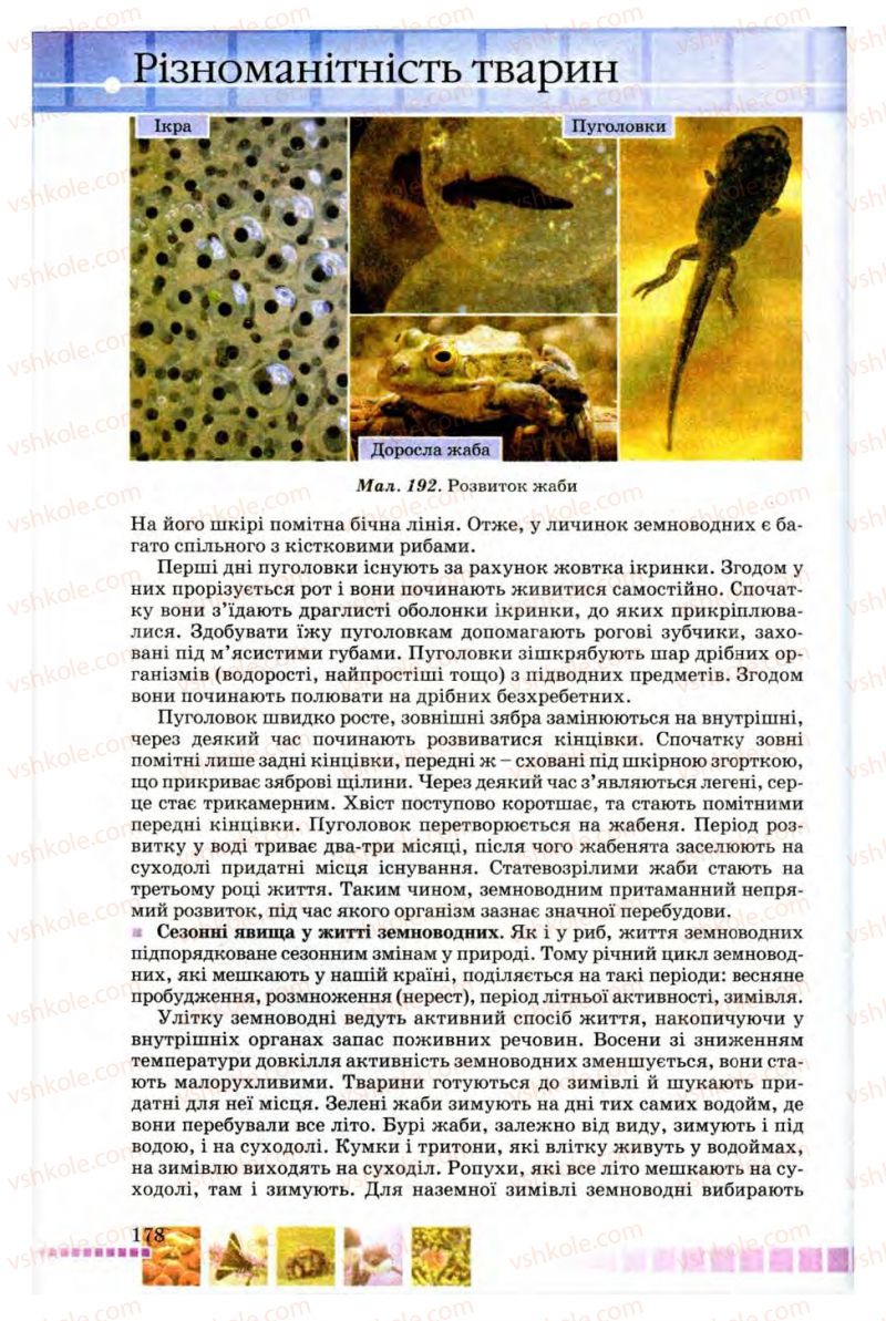Страница 178 | Підручник Біологія 8 клас В.В. Серебряков, П.Г. Балан 2008