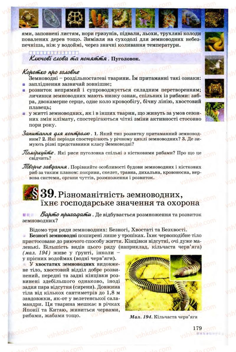Страница 179 | Підручник Біологія 8 клас В.В. Серебряков, П.Г. Балан 2008