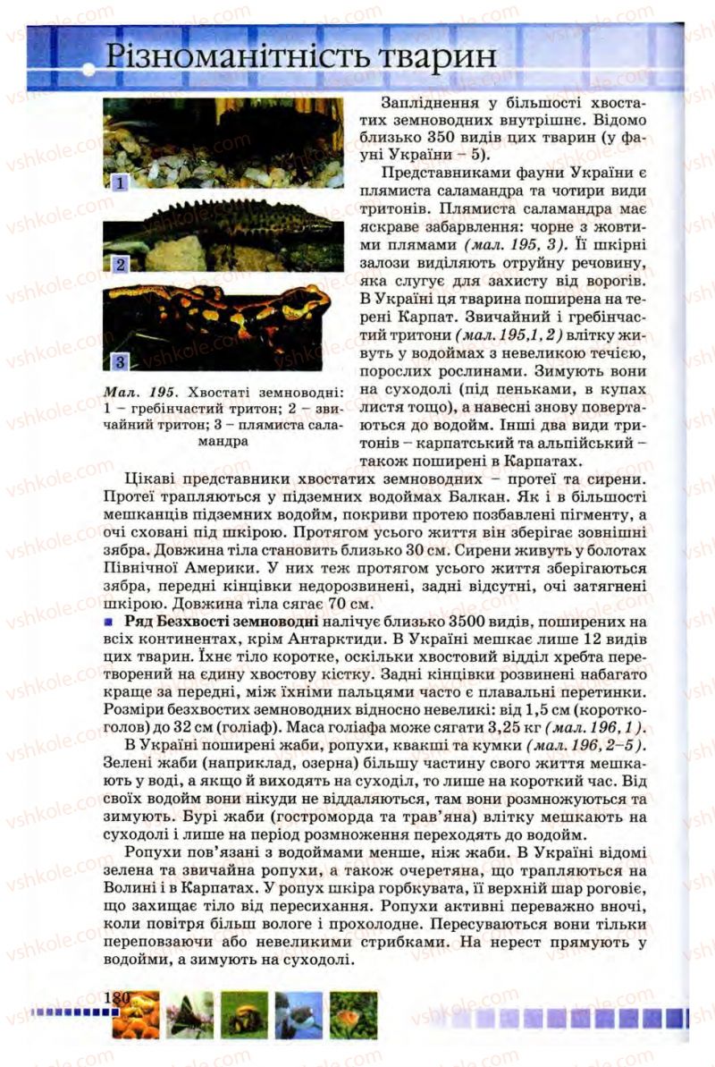 Страница 180 | Підручник Біологія 8 клас В.В. Серебряков, П.Г. Балан 2008