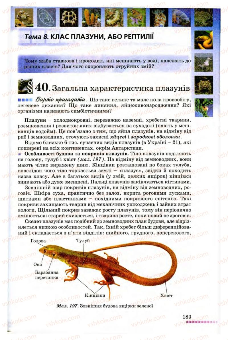 Страница 183 | Підручник Біологія 8 клас В.В. Серебряков, П.Г. Балан 2008