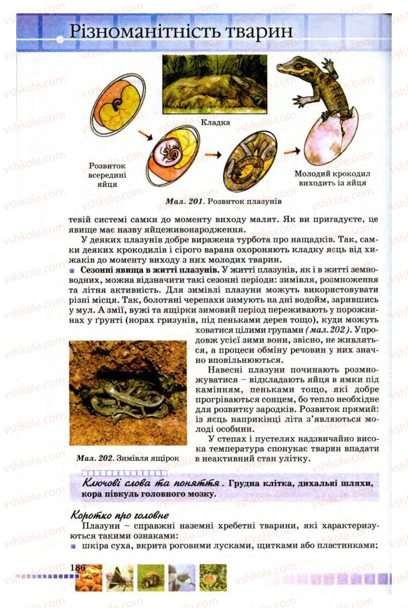 Страница 186 | Підручник Біологія 8 клас В.В. Серебряков, П.Г. Балан 2008