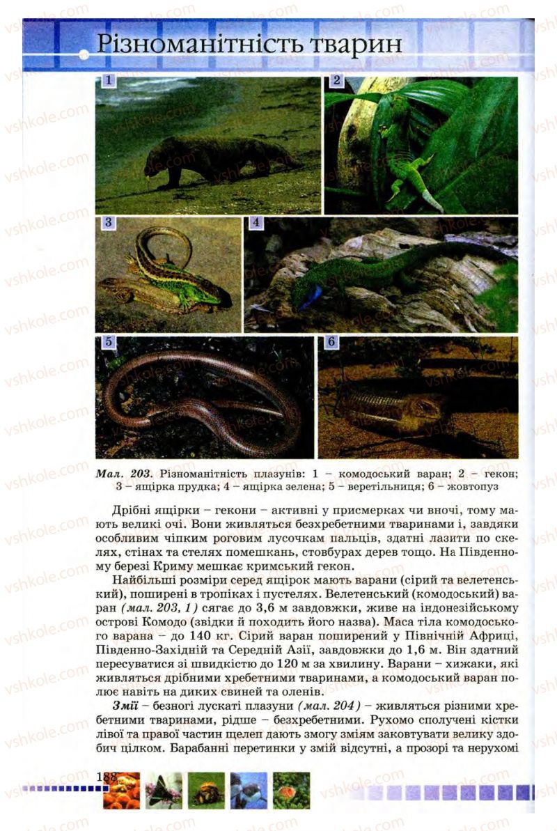 Страница 188 | Підручник Біологія 8 клас В.В. Серебряков, П.Г. Балан 2008