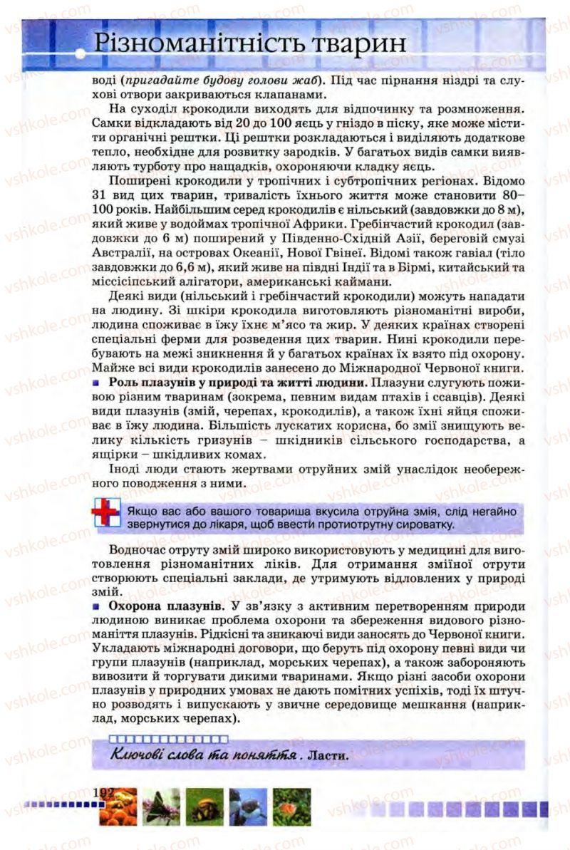 Страница 192 | Підручник Біологія 8 клас В.В. Серебряков, П.Г. Балан 2008
