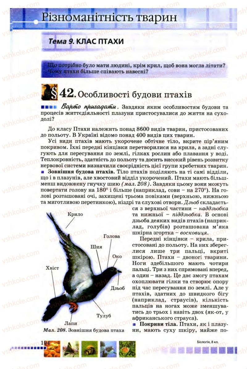 Страница 194 | Підручник Біологія 8 клас В.В. Серебряков, П.Г. Балан 2008