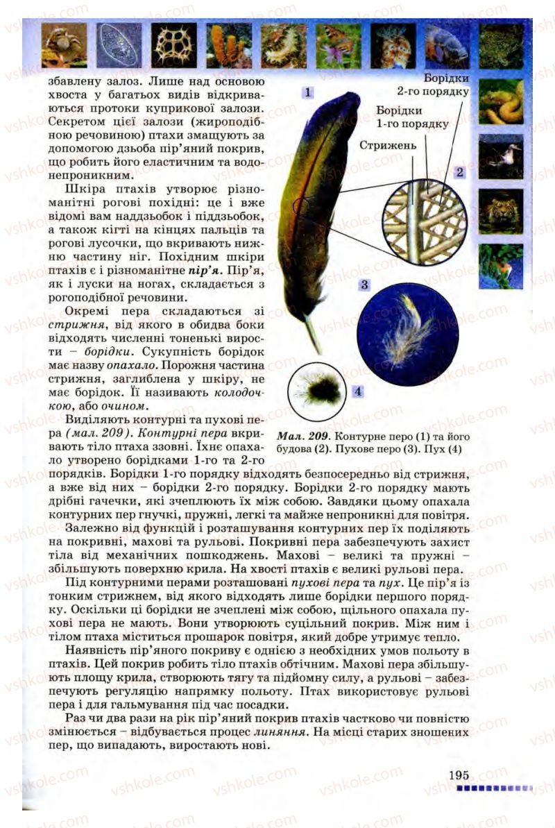 Страница 195 | Підручник Біологія 8 клас В.В. Серебряков, П.Г. Балан 2008