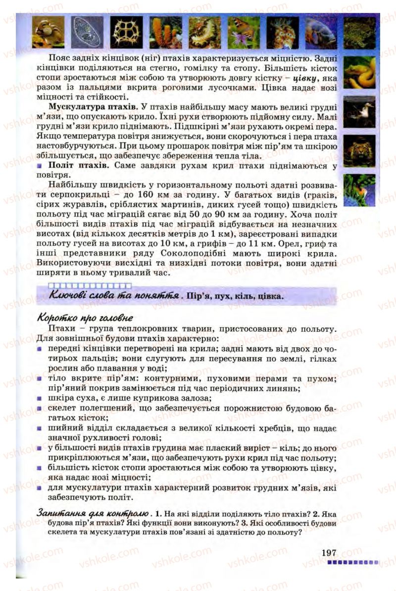Страница 197 | Підручник Біологія 8 клас В.В. Серебряков, П.Г. Балан 2008