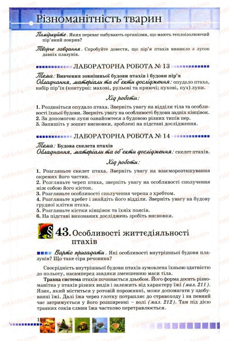 Страница 198 | Підручник Біологія 8 клас В.В. Серебряков, П.Г. Балан 2008