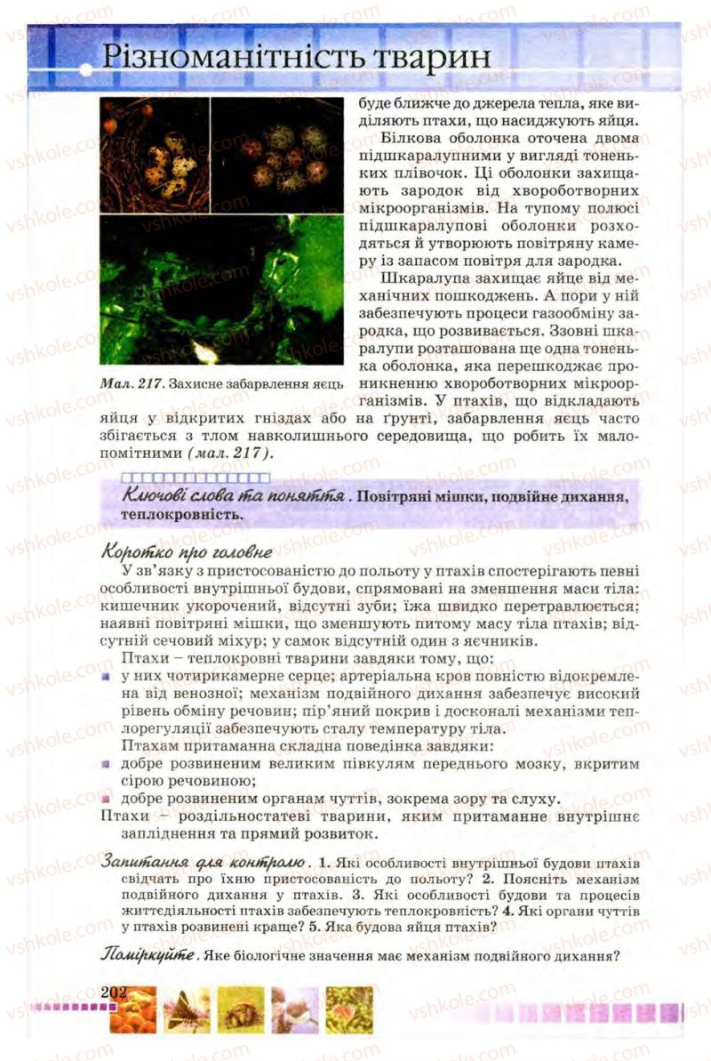 Страница 202 | Підручник Біологія 8 клас В.В. Серебряков, П.Г. Балан 2008