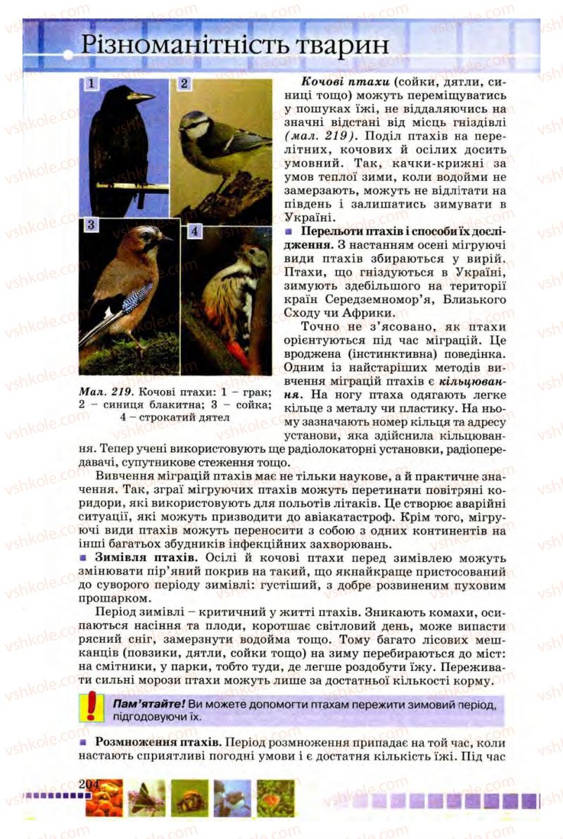 Страница 204 | Підручник Біологія 8 клас В.В. Серебряков, П.Г. Балан 2008