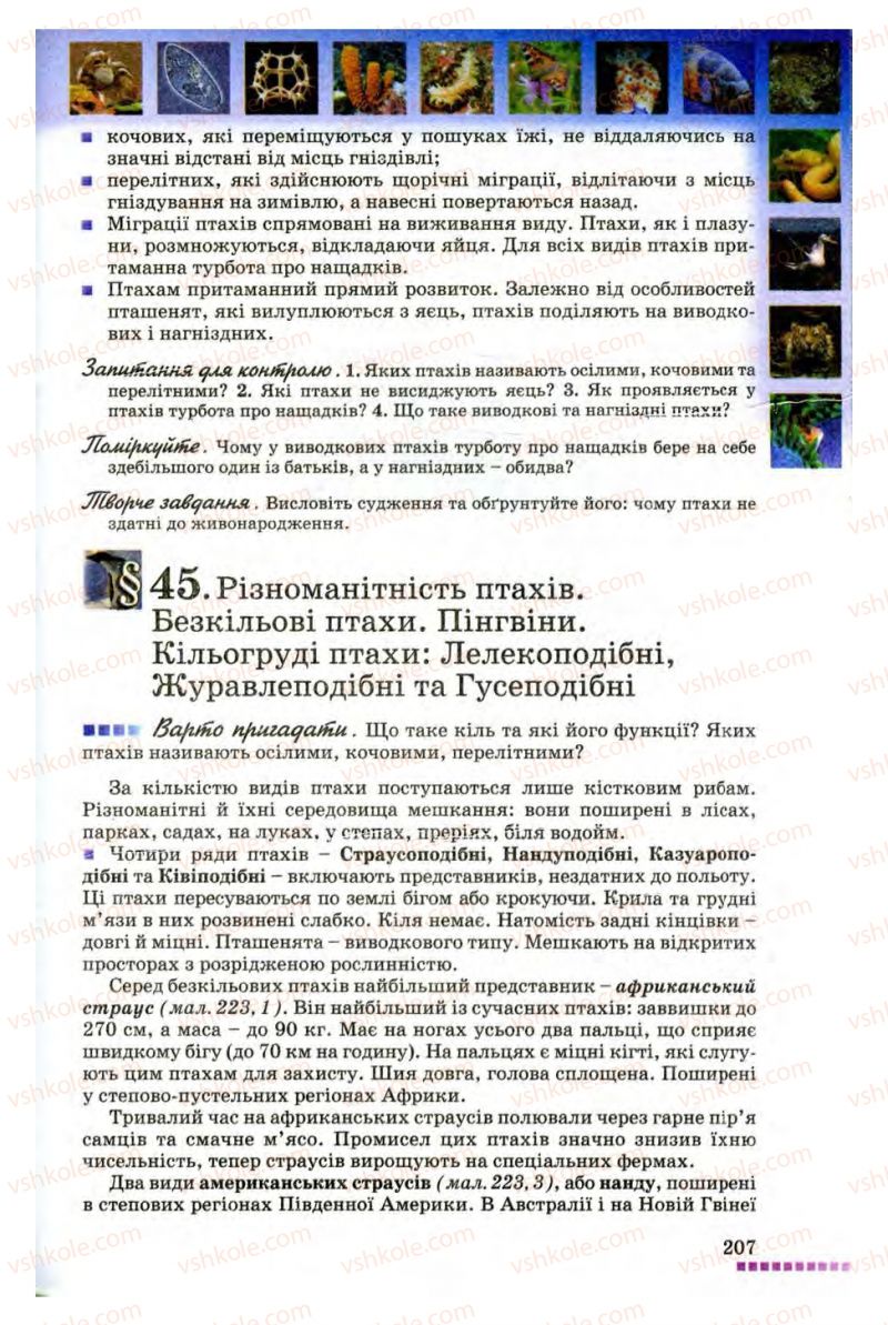 Страница 207 | Підручник Біологія 8 клас В.В. Серебряков, П.Г. Балан 2008