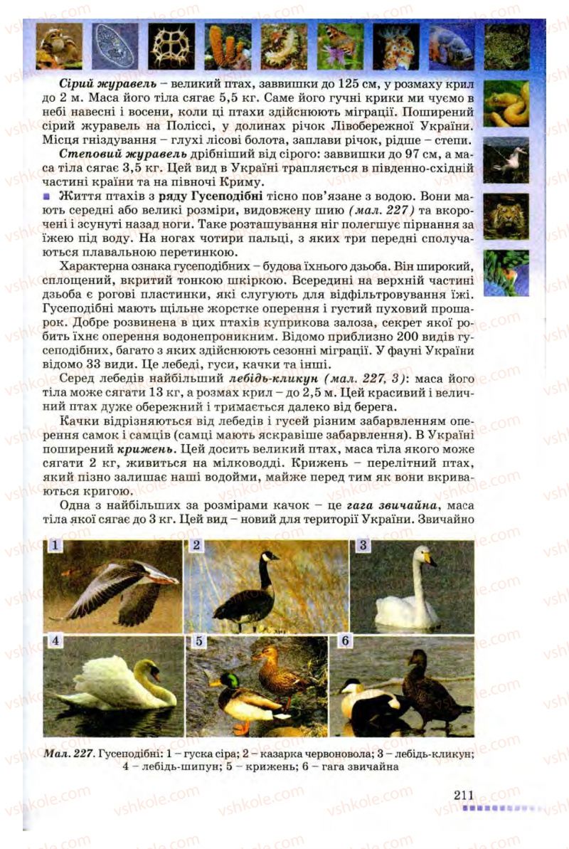 Страница 211 | Підручник Біологія 8 клас В.В. Серебряков, П.Г. Балан 2008