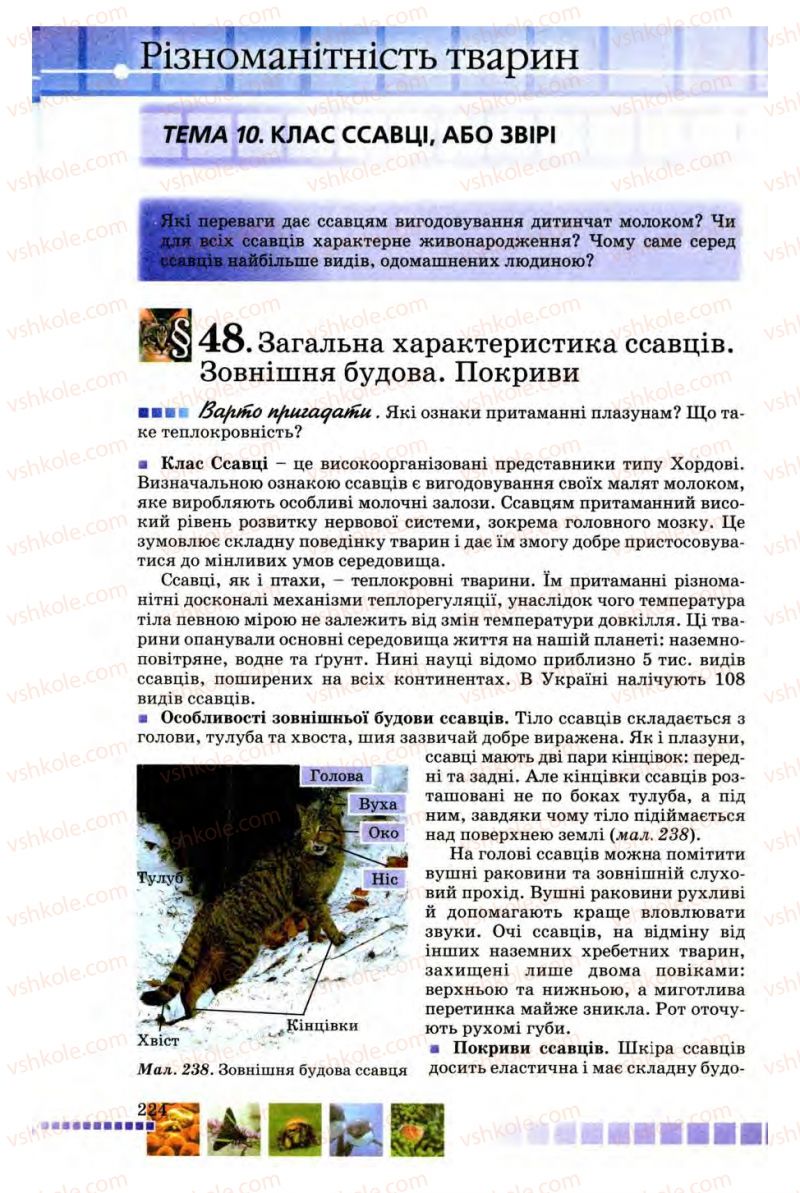 Страница 224 | Підручник Біологія 8 клас В.В. Серебряков, П.Г. Балан 2008