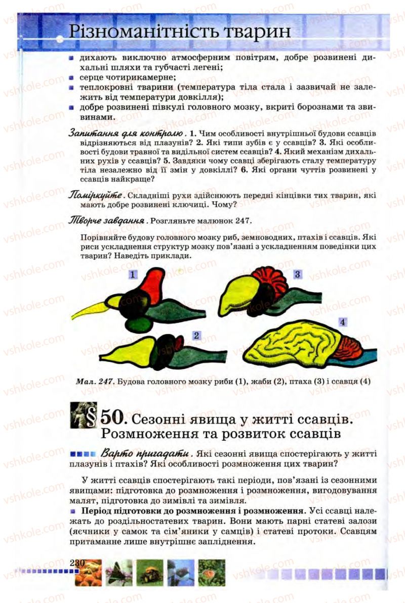 Страница 230 | Підручник Біологія 8 клас В.В. Серебряков, П.Г. Балан 2008