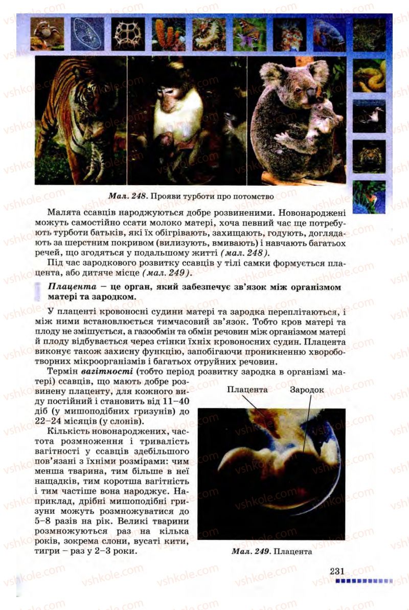 Страница 231 | Підручник Біологія 8 клас В.В. Серебряков, П.Г. Балан 2008