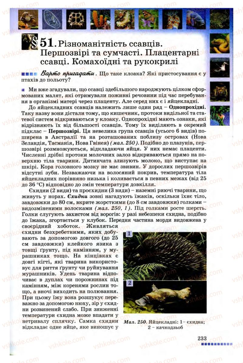 Страница 233 | Підручник Біологія 8 клас В.В. Серебряков, П.Г. Балан 2008