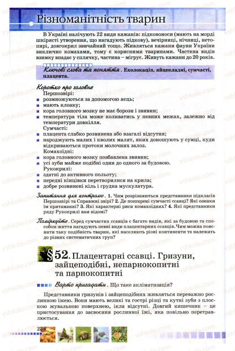 Страница 238 | Підручник Біологія 8 клас В.В. Серебряков, П.Г. Балан 2008