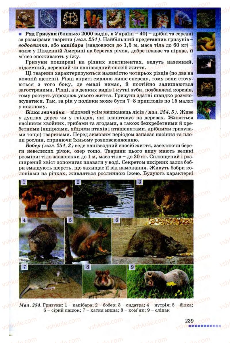 Страница 239 | Підручник Біологія 8 клас В.В. Серебряков, П.Г. Балан 2008
