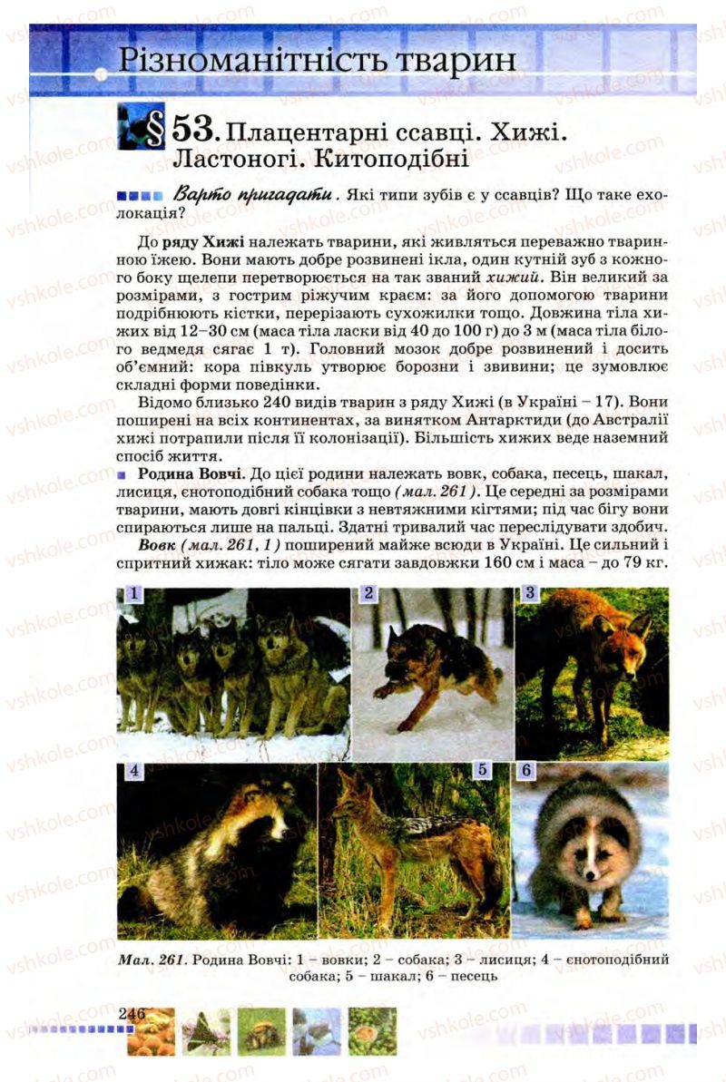 Страница 246 | Підручник Біологія 8 клас В.В. Серебряков, П.Г. Балан 2008