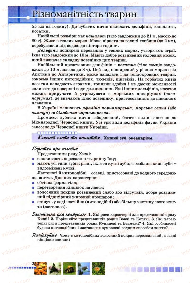 Страница 252 | Підручник Біологія 8 клас В.В. Серебряков, П.Г. Балан 2008