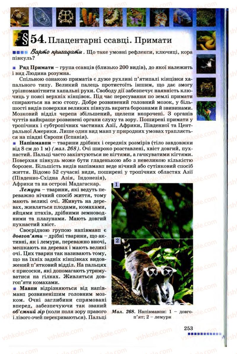 Страница 253 | Підручник Біологія 8 клас В.В. Серебряков, П.Г. Балан 2008