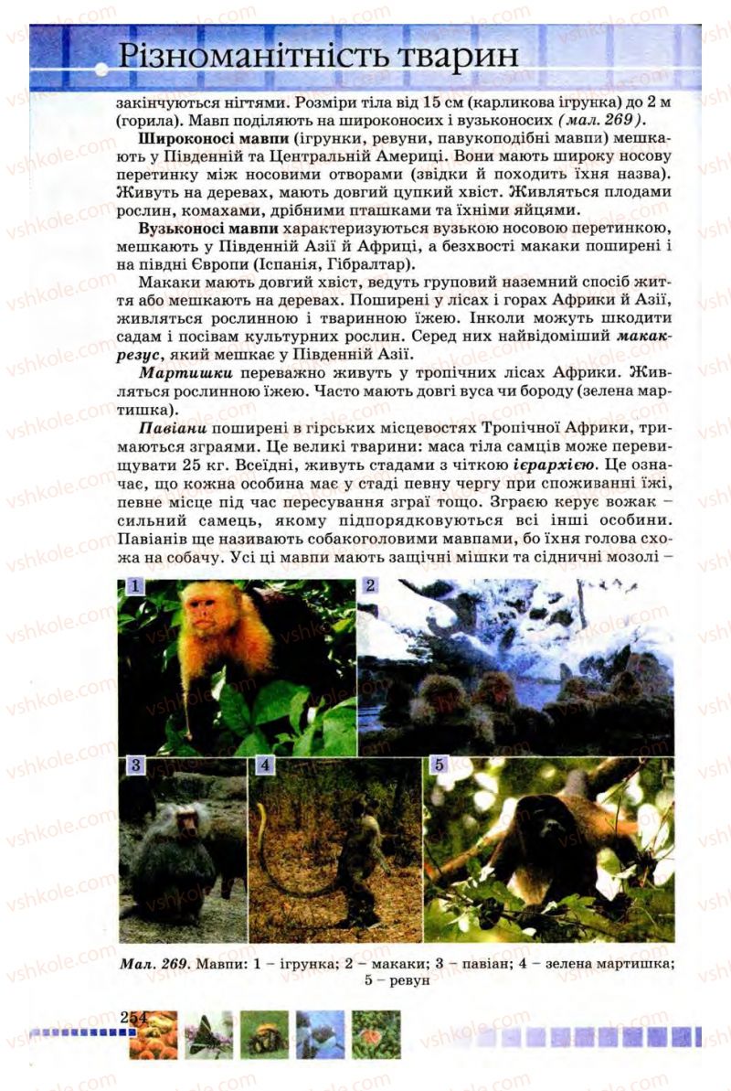Страница 254 | Підручник Біологія 8 клас В.В. Серебряков, П.Г. Балан 2008