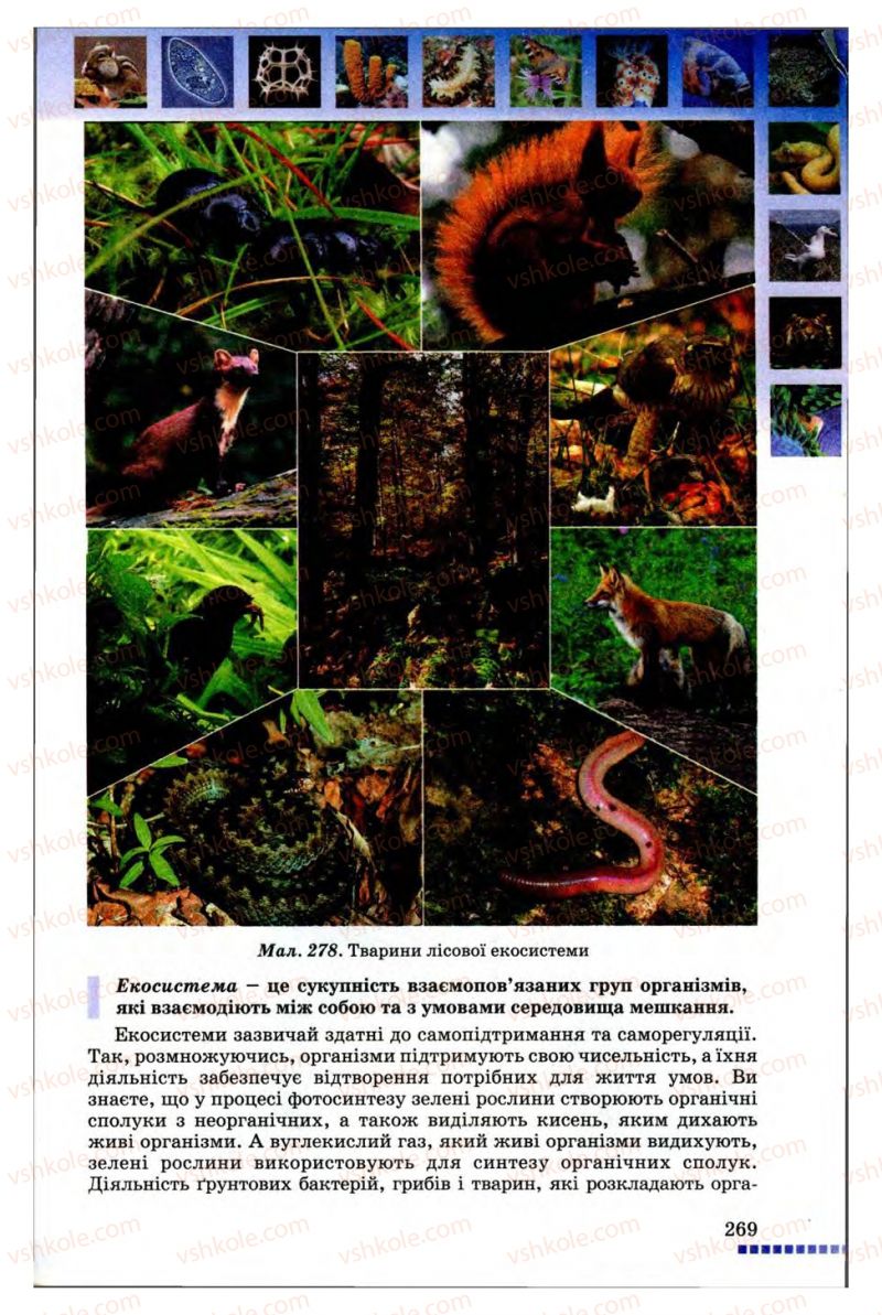 Страница 269 | Підручник Біологія 8 клас В.В. Серебряков, П.Г. Балан 2008