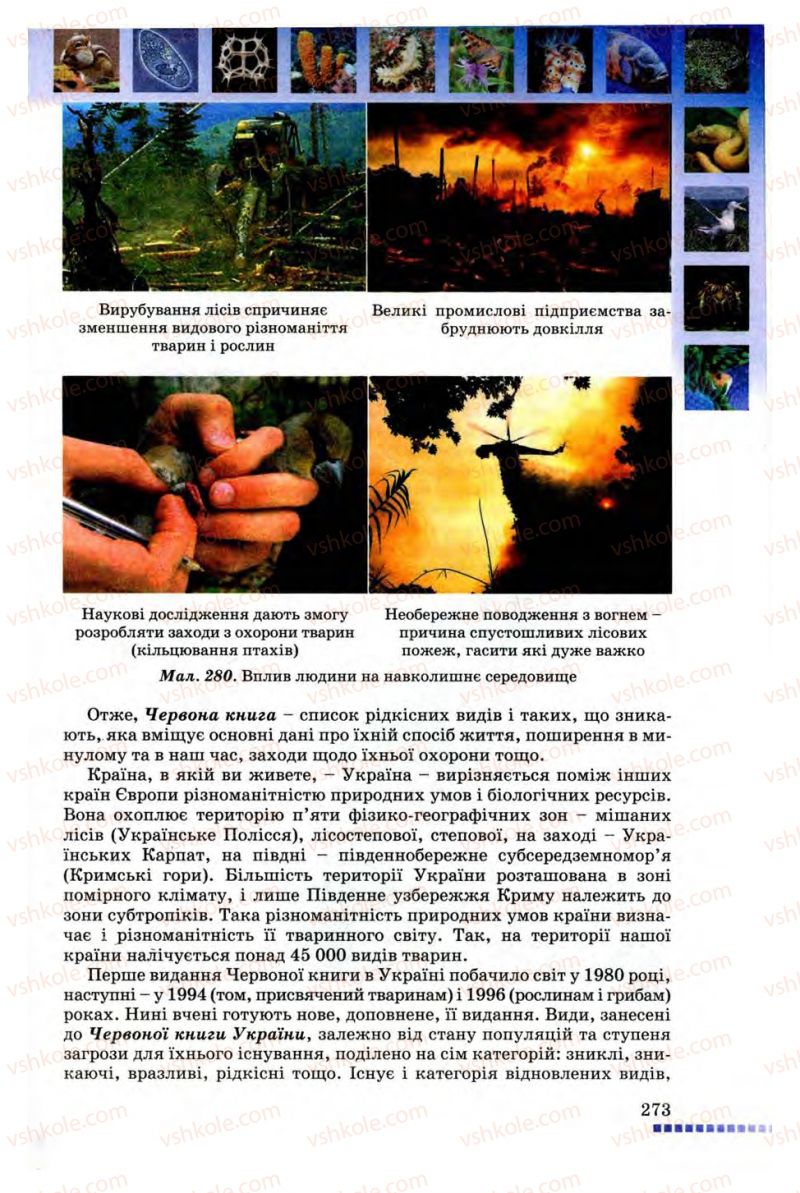 Страница 273 | Підручник Біологія 8 клас В.В. Серебряков, П.Г. Балан 2008