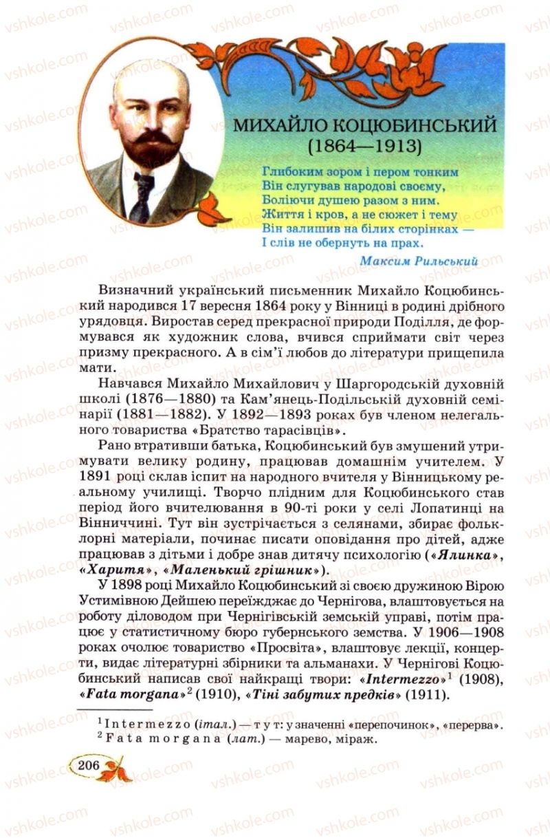 Страница 206 | Підручник Українська література 8 клас В.І. Цимбалюк 2008