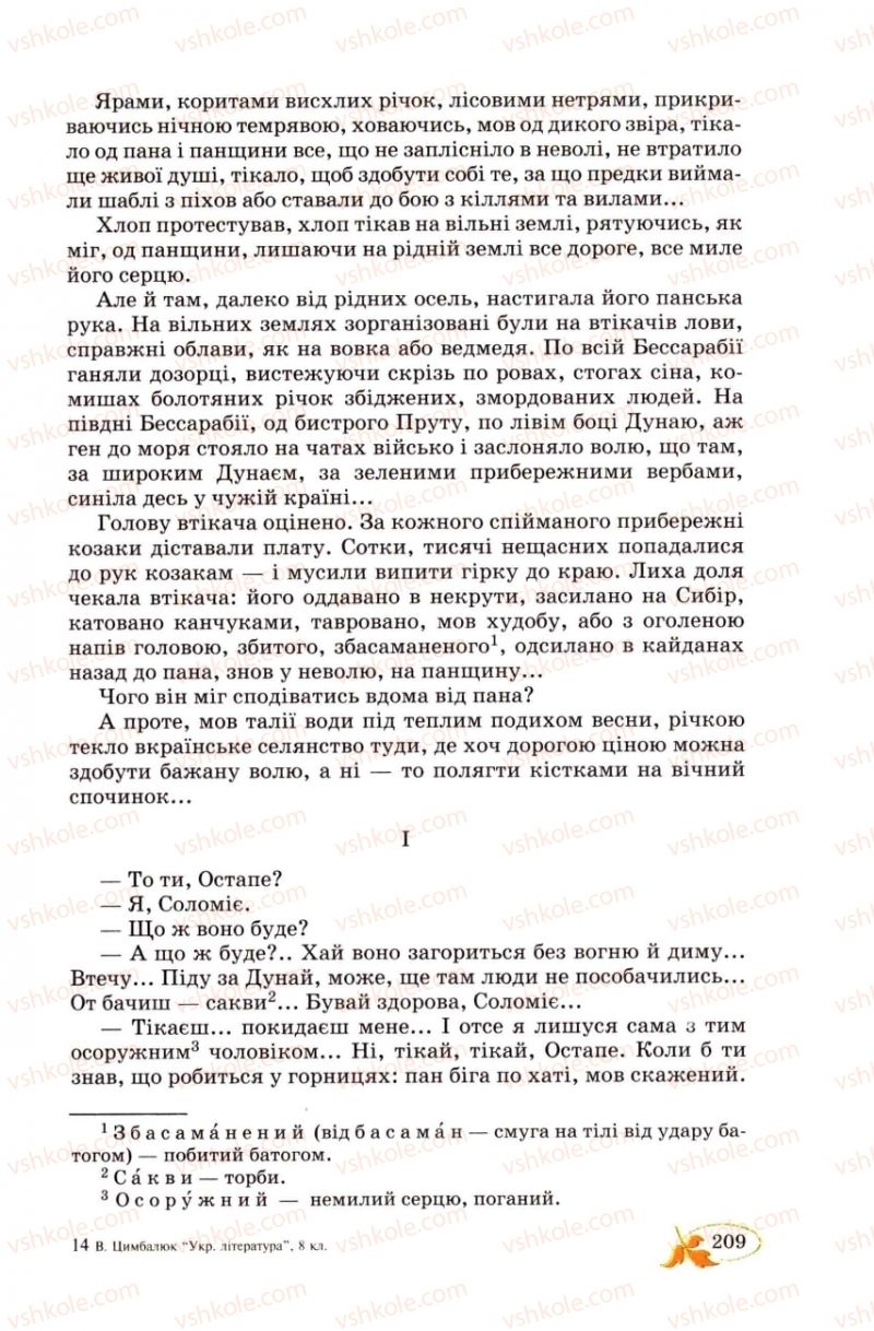 Страница 209 | Підручник Українська література 8 клас В.І. Цимбалюк 2008