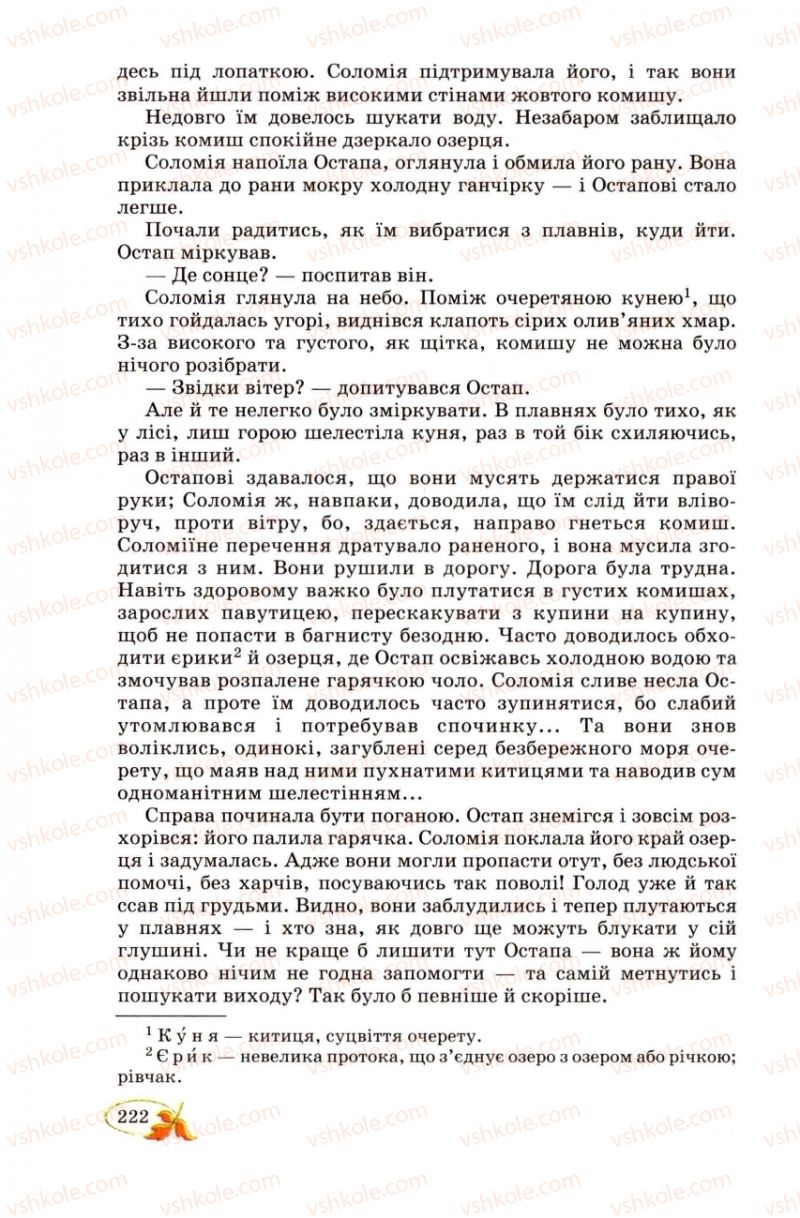 Страница 222 | Підручник Українська література 8 клас В.І. Цимбалюк 2008