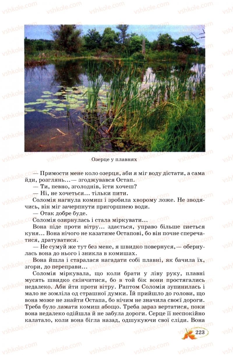 Страница 223 | Підручник Українська література 8 клас В.І. Цимбалюк 2008