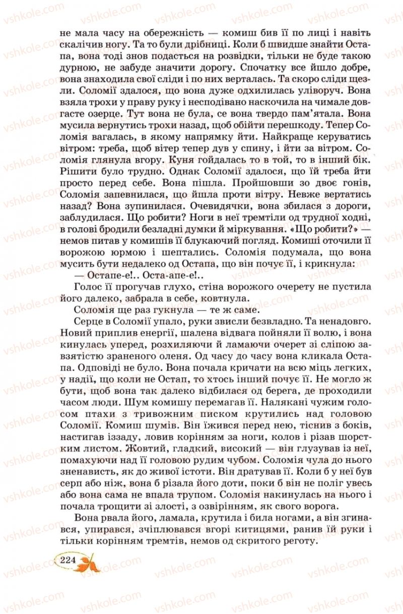 Страница 224 | Підручник Українська література 8 клас В.І. Цимбалюк 2008