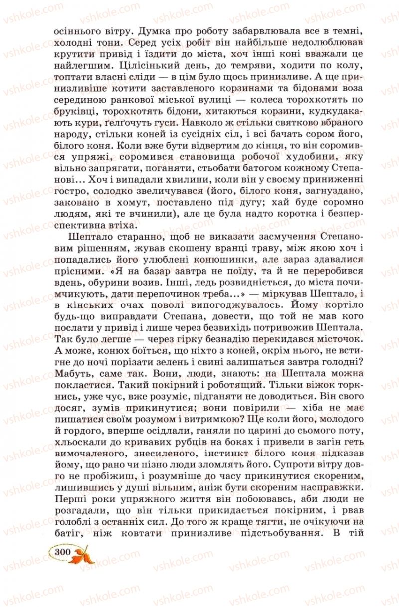 Страница 300 | Підручник Українська література 8 клас В.І. Цимбалюк 2008