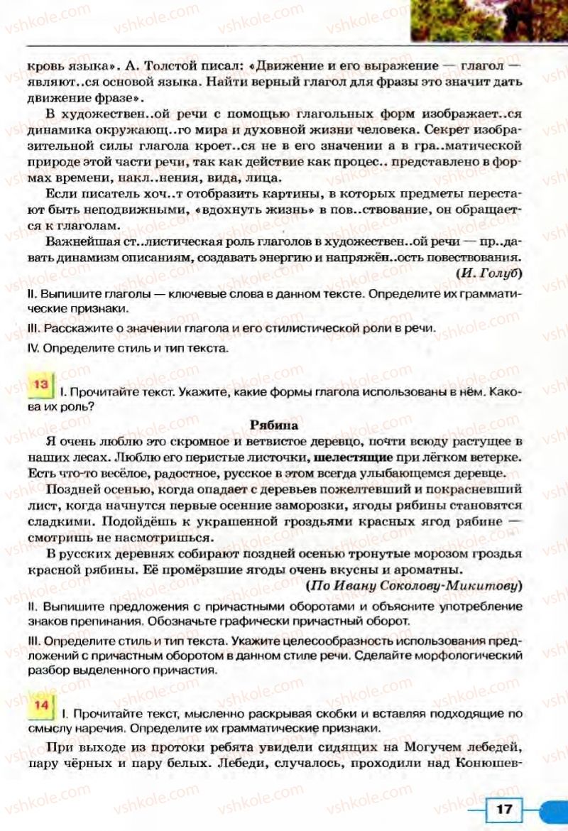 Страница 17 | Підручник Русский язык 8 клас Е.И. Быкова, Л.В Давидюк, В.И. Стативка 2008