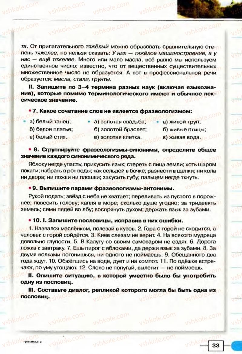 Страница 33 | Підручник Русский язык 8 клас Е.И. Быкова, Л.В Давидюк, В.И. Стативка 2008